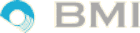 BMI-International